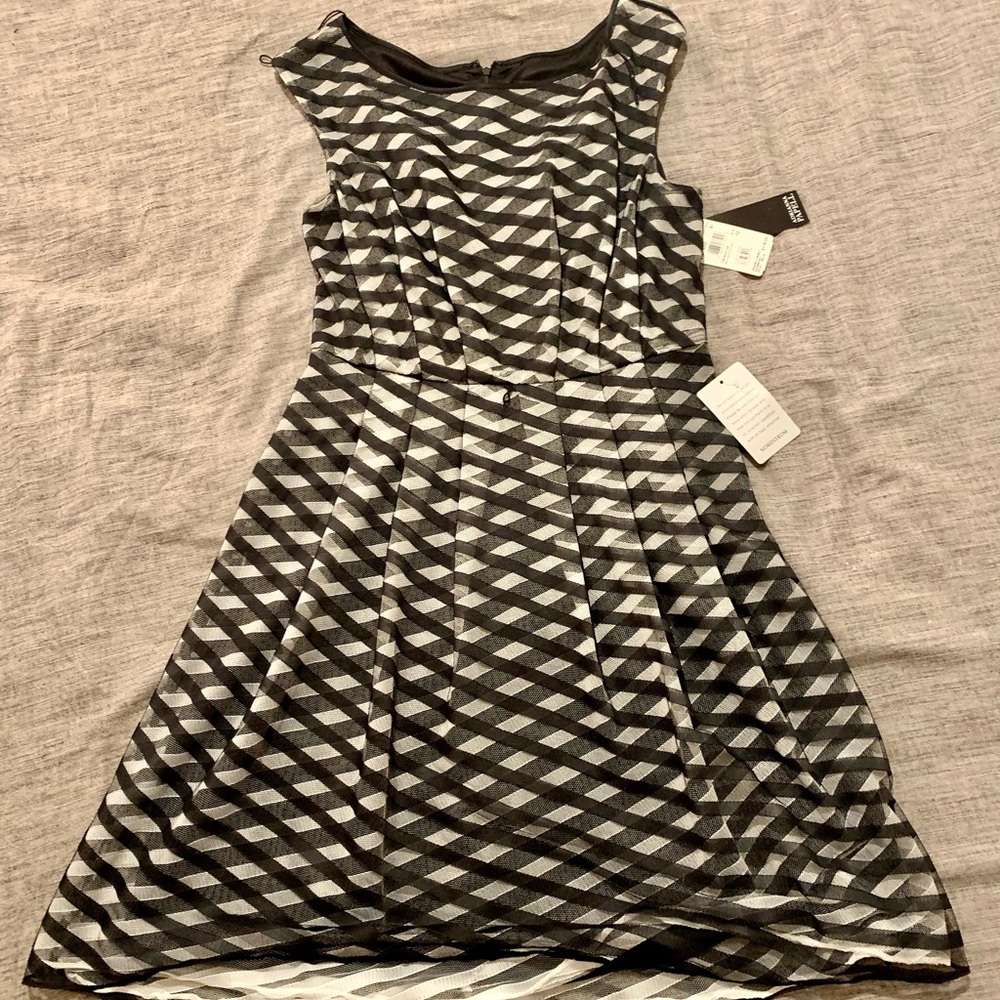 Adrianna Papell black and white dress-new